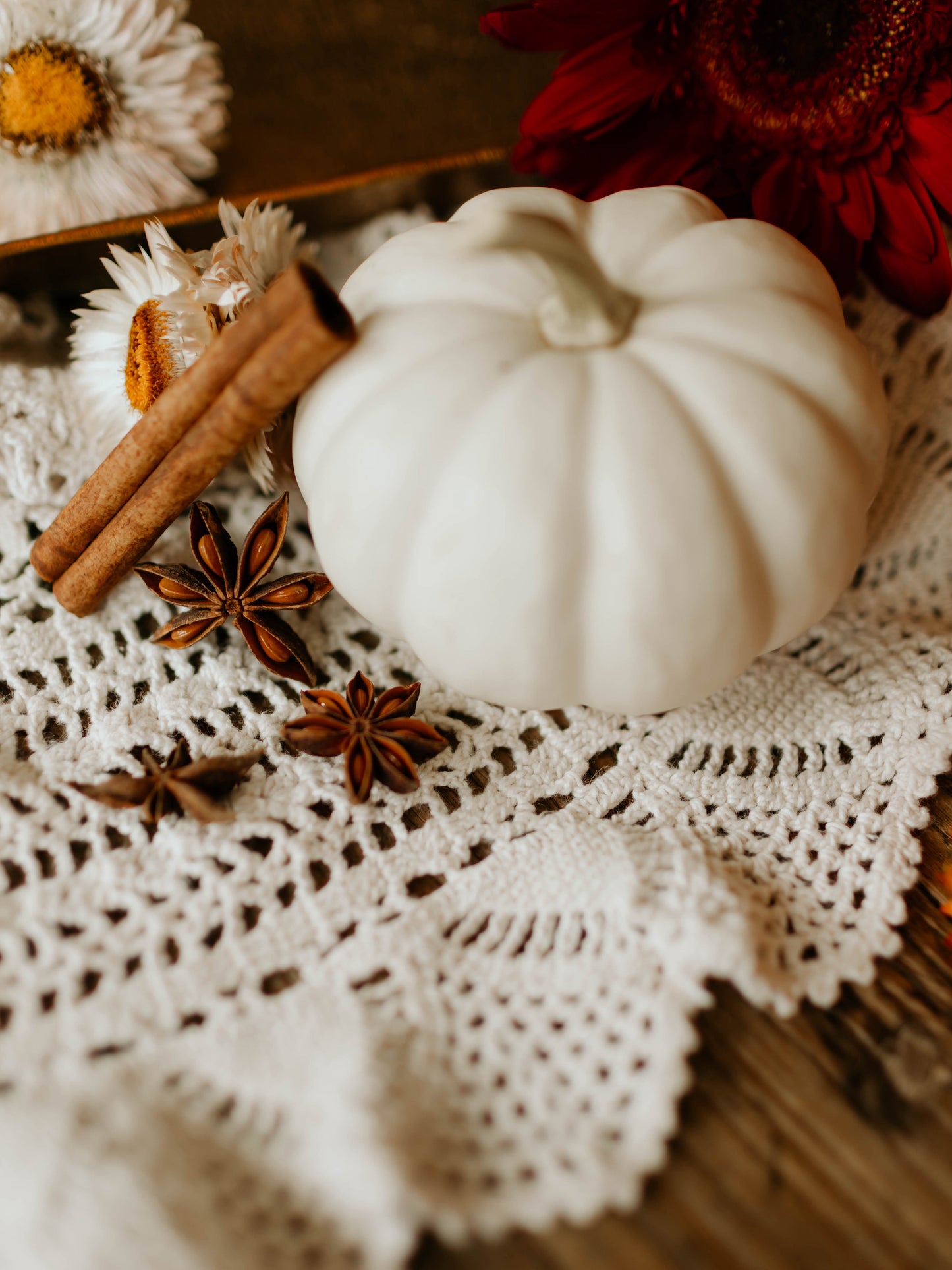 Meg Wells Bundle - Spiced Chai & Unbound